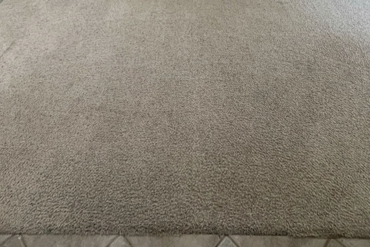 Spotless beige carpet after professional eco-friendly carpet cleaning service in a Southern California home