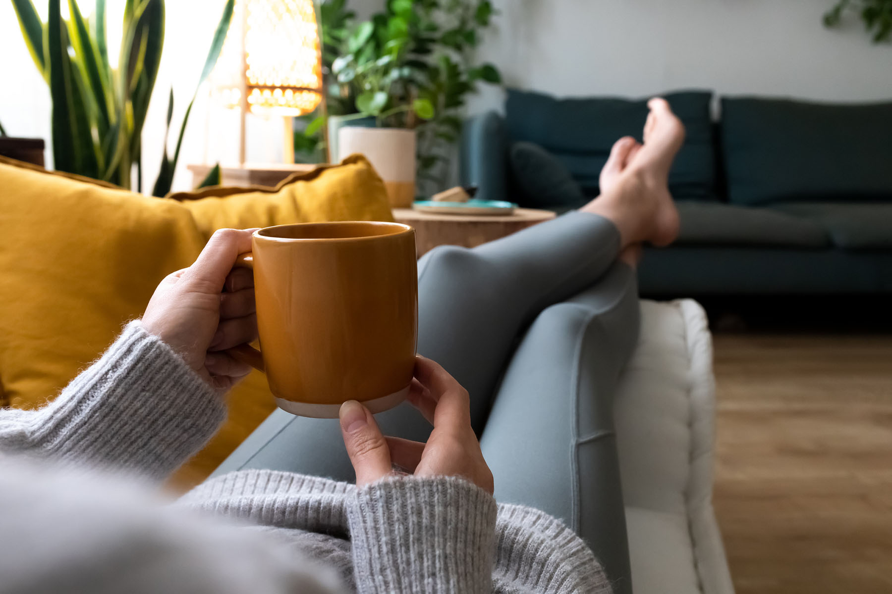 Relaxing on a toxin-free couch after upholstery and carpet cleaning with Safer Choice Cleaning in Irvine, CA