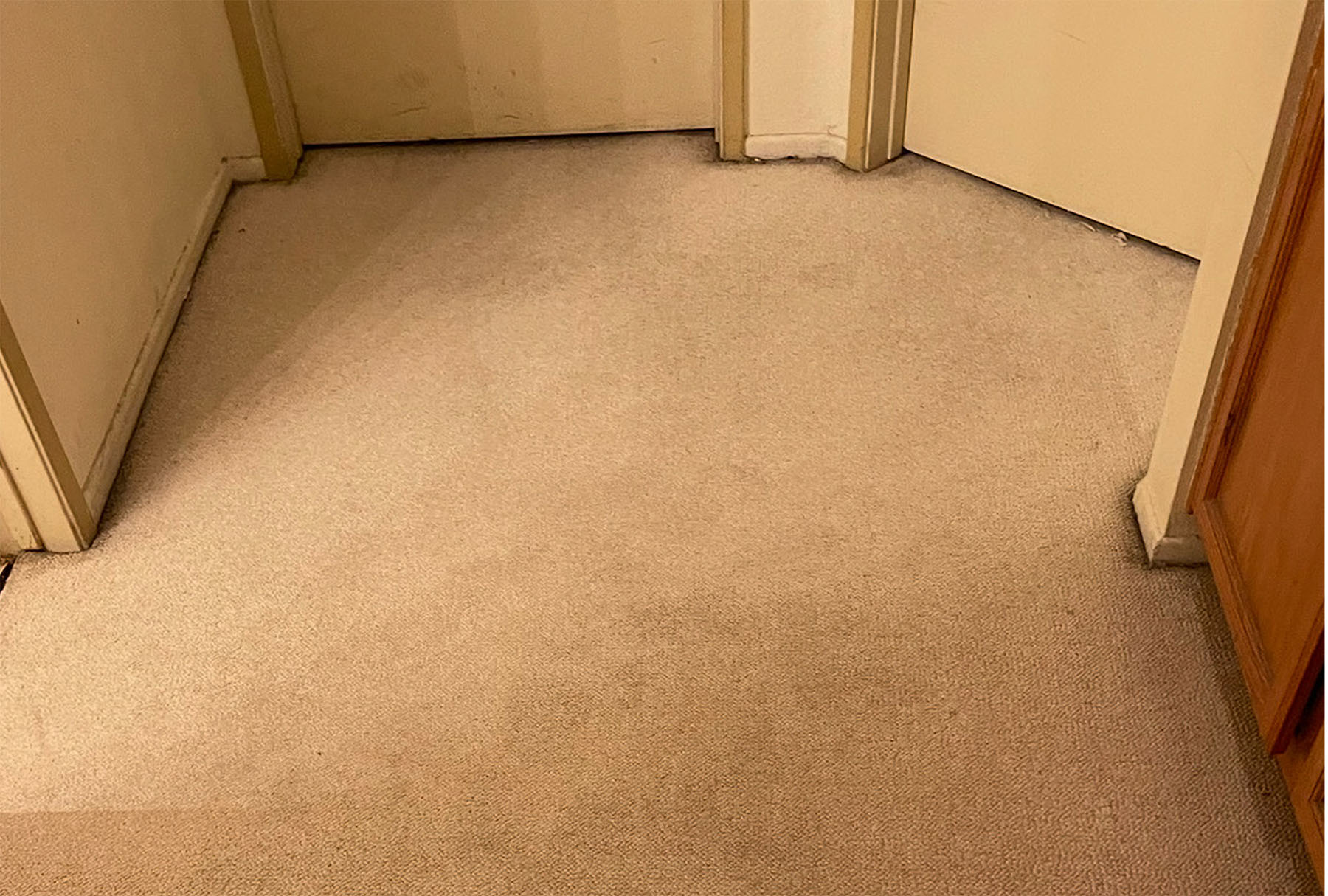 Refreshed hallway carpet after pet stain cleaning — fast-drying, non-toxic carpet cleaning in San Bernardino County.