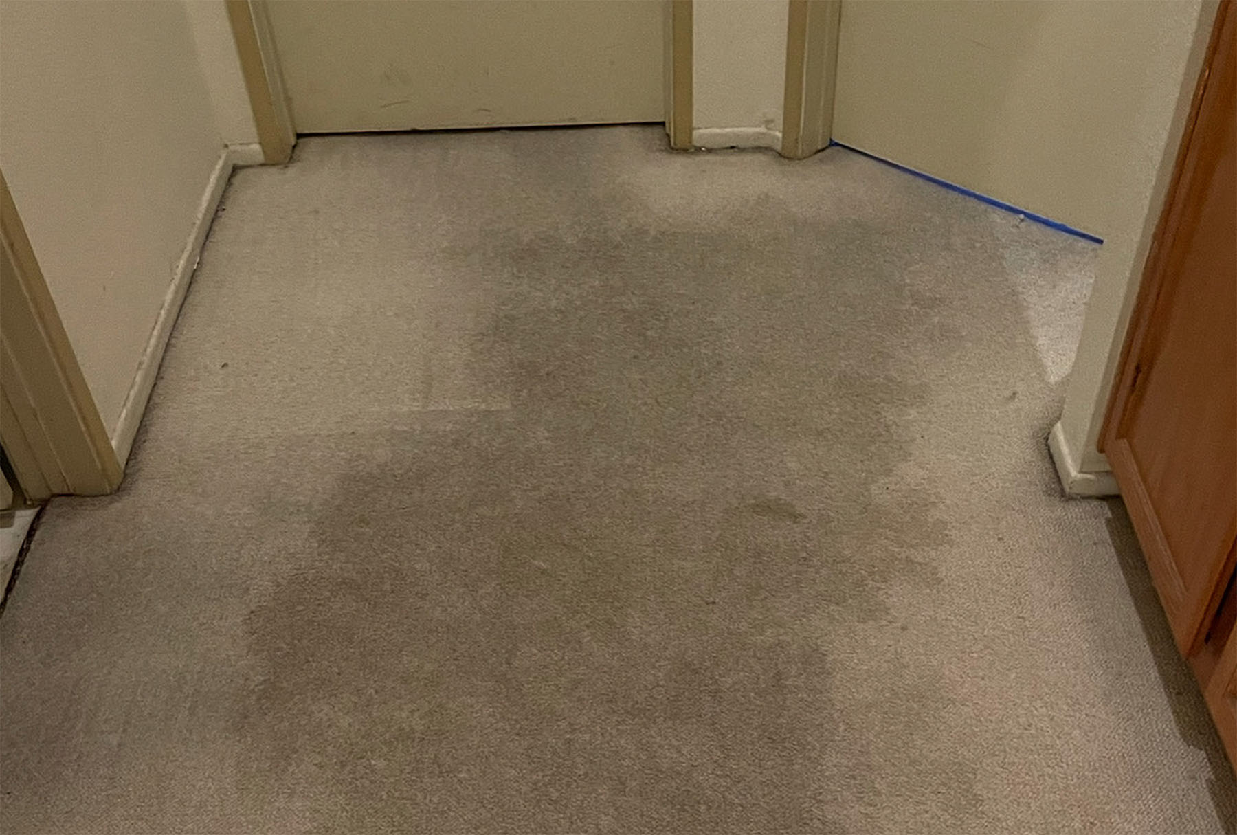 Stained hallway carpet with deep pet soiling — expert urine extraction and carpet restoration services near me.