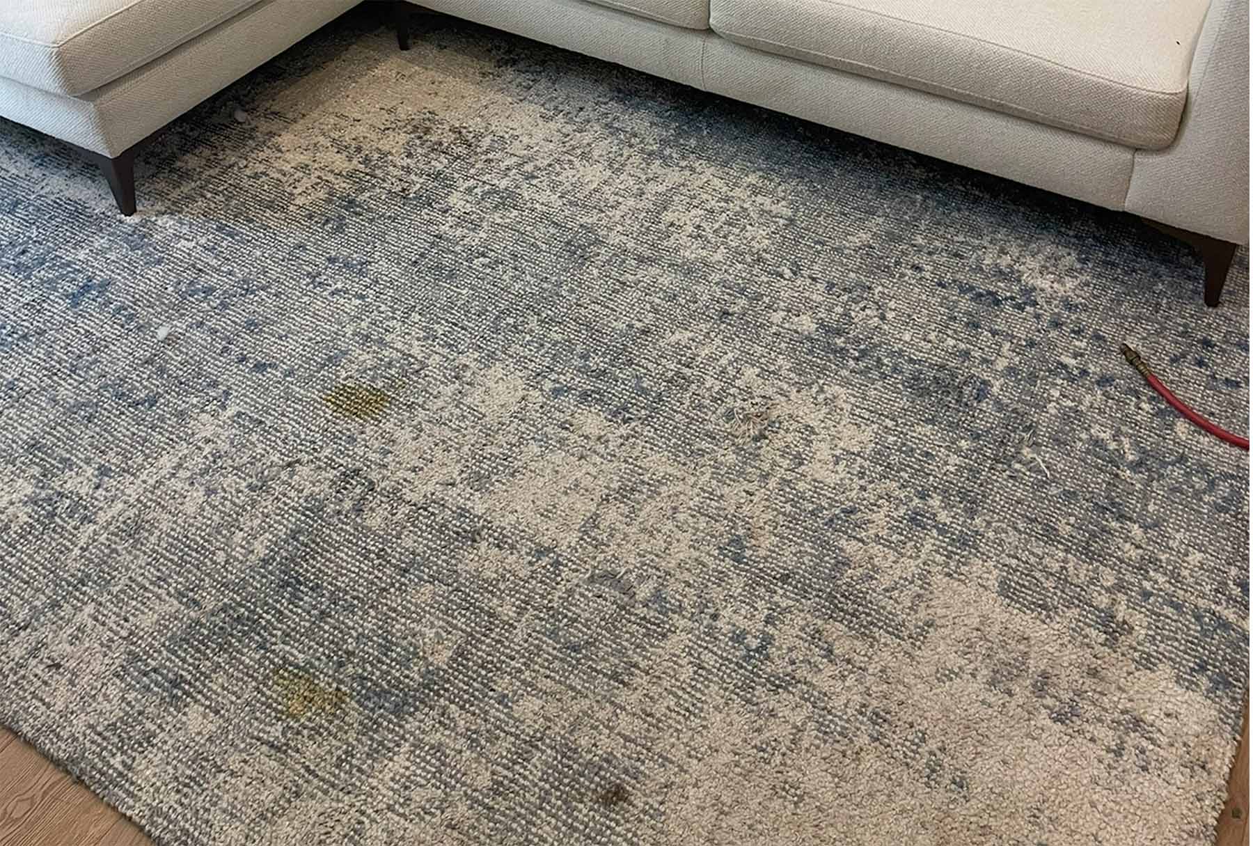 High-traffic area rug with multiple pet stains and embedded dirt—ready for deep rug cleaning in San Bernardino by Safer Choice Cleaning.