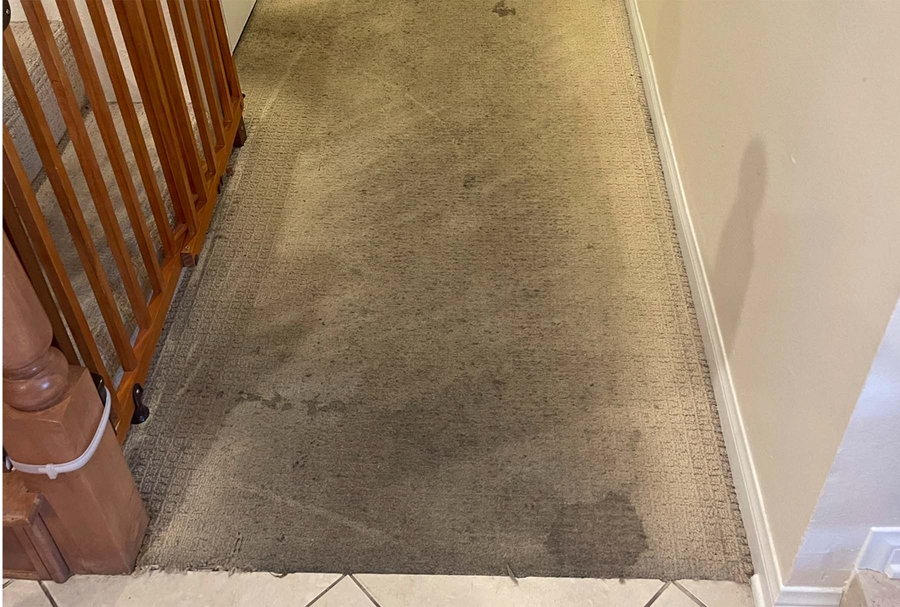 Heavily soiled and wrinkled beige hallway carpet with visible stains and wear near staircase—needs professional carpet repair in Orange County.