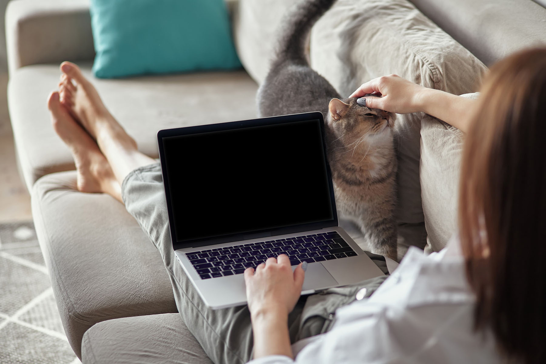 Comfortable home environment with pet-friendly couch, demonstrating Safer Choice Cleaning’s non-toxic upholstery cleaning ideal for homes with cats.