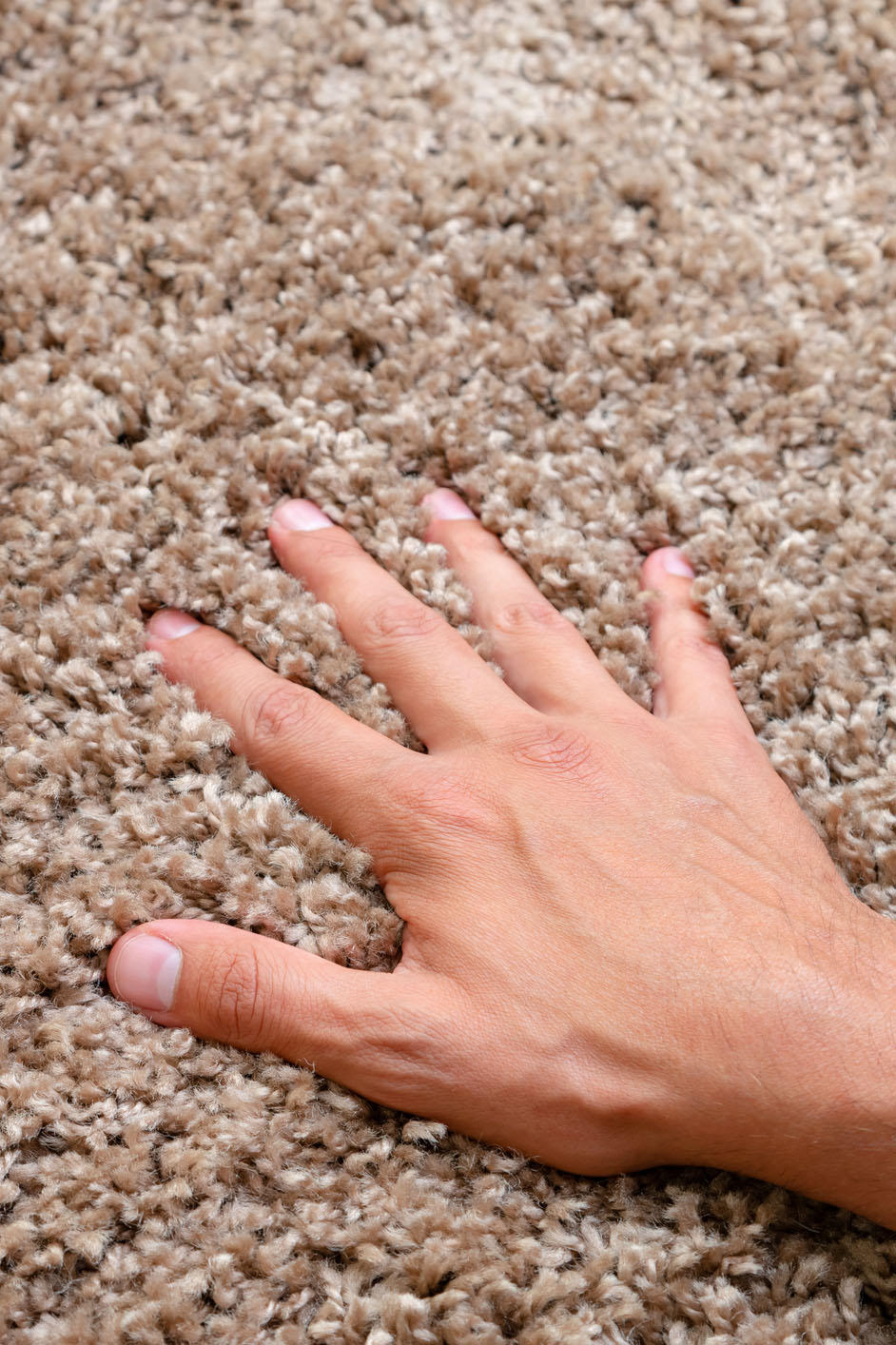 Close-up of clean, soft carpet fibers, emphasizing the deep-cleaning effectiveness of Safer Choice Cleaning’s green carpet care solutions.